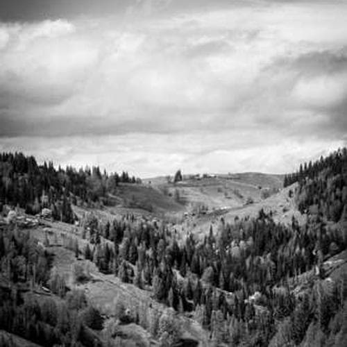 Early photo of the Lorikeet Inks lab